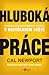 Hluboká práce by Cal Newport