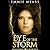 Eye of the Storm (Ayala Storme, 4)