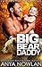 Big Bear Daddy (Sweetwater Father Bears, #1)
