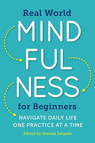 Real World Mindfulness for Beginners: Navigate Daily Life One Practice at a Time (Kindle Edition)