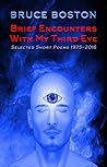 Brief Encounters with My Third Eye by Bruce Boston