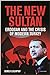 The New Sultan: Erdogan and...