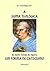 A Suma Teológica de Santo Tomás de Aquino em forma de catecismo (Portuguese Edition)