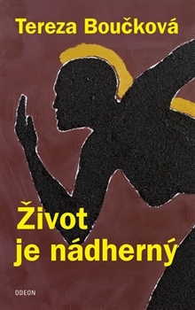 Život je nádherný (Hardcover)