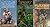 FUZZY NOVELS: 3 Ace Paperbacks by Piper