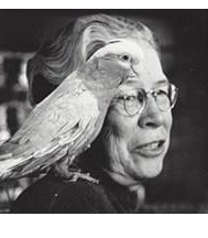 I'm for the Birds! (Paperback)