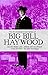 The Revolutionary Journalism of Big Bill Haywood: On the Picket Line with the IWW