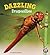 Dazzling Dragonflies