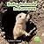 Baby Animals in Burrows (Little Pebble: Baby Animals and Their Homes)