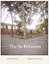 The In-Between by Mahmoud Farraj