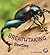Breathtaking Beetles