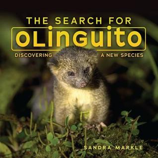 The Search for Olinguito: Discovering a New Species (Hardcover)