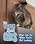 The Truth about Cats: What ...