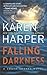 Falling Darkness (South Shores, #3)