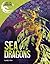 Sea Dragons (Real-Life Dragons)