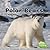 Polar Bears (Little Pebble: Black and White Animals)