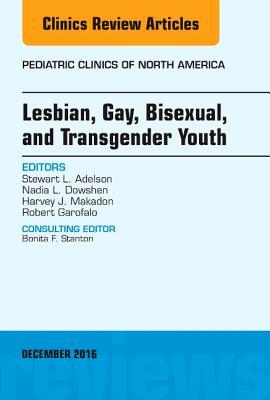 Lesbian, Gay, Bisexual, and Transgender Youth, An Issue of Pediatric Clinics of North America (Volume 63-6) (The Clinics: Internal Medicine, Volume 63-6)