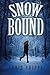 Snowbound (Wagner & Callender Mystery Book 2)