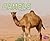 Camels (Meet Desert Animals)