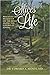 Slices of Life: Pieces of Life Picked Up on the Road Along the Course of Living