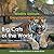 Wildlife Animals Encyclopedia for Kids - Big Cats of the World (Lions, Tigers, Leopards and More) - Children's Biological Science of Wildlife Books
