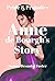 Pride & Prejudice: Anne de Bourgh's Story
