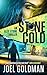 Stone Cold (Alex Stone Mystery #1)
