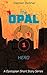 The Opal: Part 1 HERO - A Dystopian Short Story Series