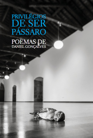 Privilégios de Ser Pássaro