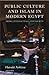 Public Culture and Islam in Modern Egypt: Media, Intellectuals and Society (Library of Modern Middle East Studies)