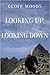 Looking up, Looking down by Geoff Woods