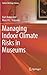 Managing Indoor Climate Risks in Museums (Cultural Heritage Science)