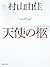 天使の柩 天使の卵 (集英社文庫)