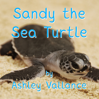Sandy the Sea Turtle