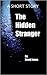 The Hidden Stranger: A Short Story