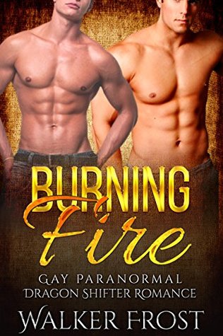 Burning Fire (Kindle Edition)