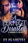 A Perfect Disaste...