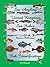 Sea Angling United Kingdom Fish Identification: Sea Angling Fish Identification UK