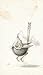 Shaun Tan Notebook - Bee Eater