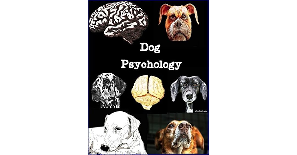 Dog Psychology by Jeffrey Jeschke