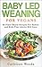 Baby Led Weaning for Vegans: 60 Plant-Based Recipes for Babies and Kids that Adults Will Love