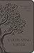 Cultivating Virtue by Tan Books