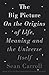 The Big Picture: On the Origins of Life, Meaning, and the Universe Itself
