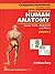 Companion Pocketbook for Quick Review B.D. Chaurasia's Human Anatomy: Lower Limb, Abdomen & Pelvis , Vol. 2
