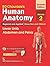 Bd Chaurasia's Human Anatomy  Vol 2