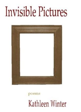 Invisible Pictures (Paperback)