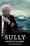 Sully: Miracle on...