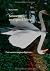 Sansonnets, un cygne à l'en...