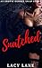 Snatched: Book 1 (An Erotic Gender Swap Succubus Romance)