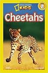 Cheetahs